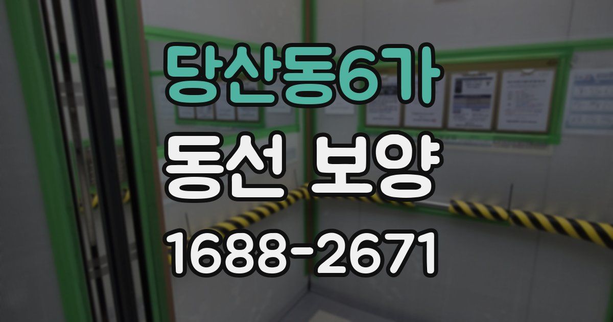 당산동6가 동선 보양