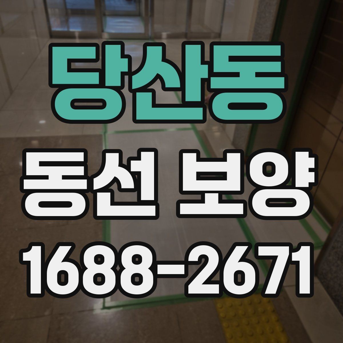 당산동 동선 보양 현장에서는 어떤 점을 먼저 볼까