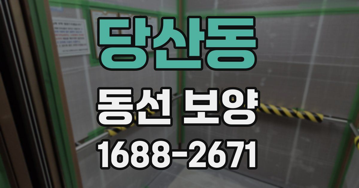 당산동 동선 보양