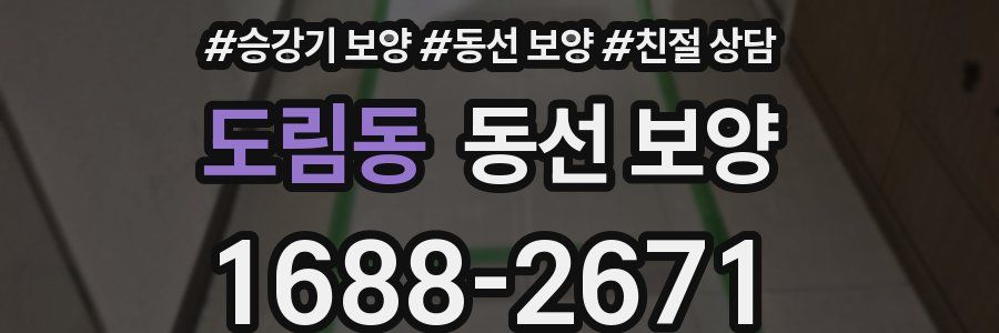 도림동 동선 보양