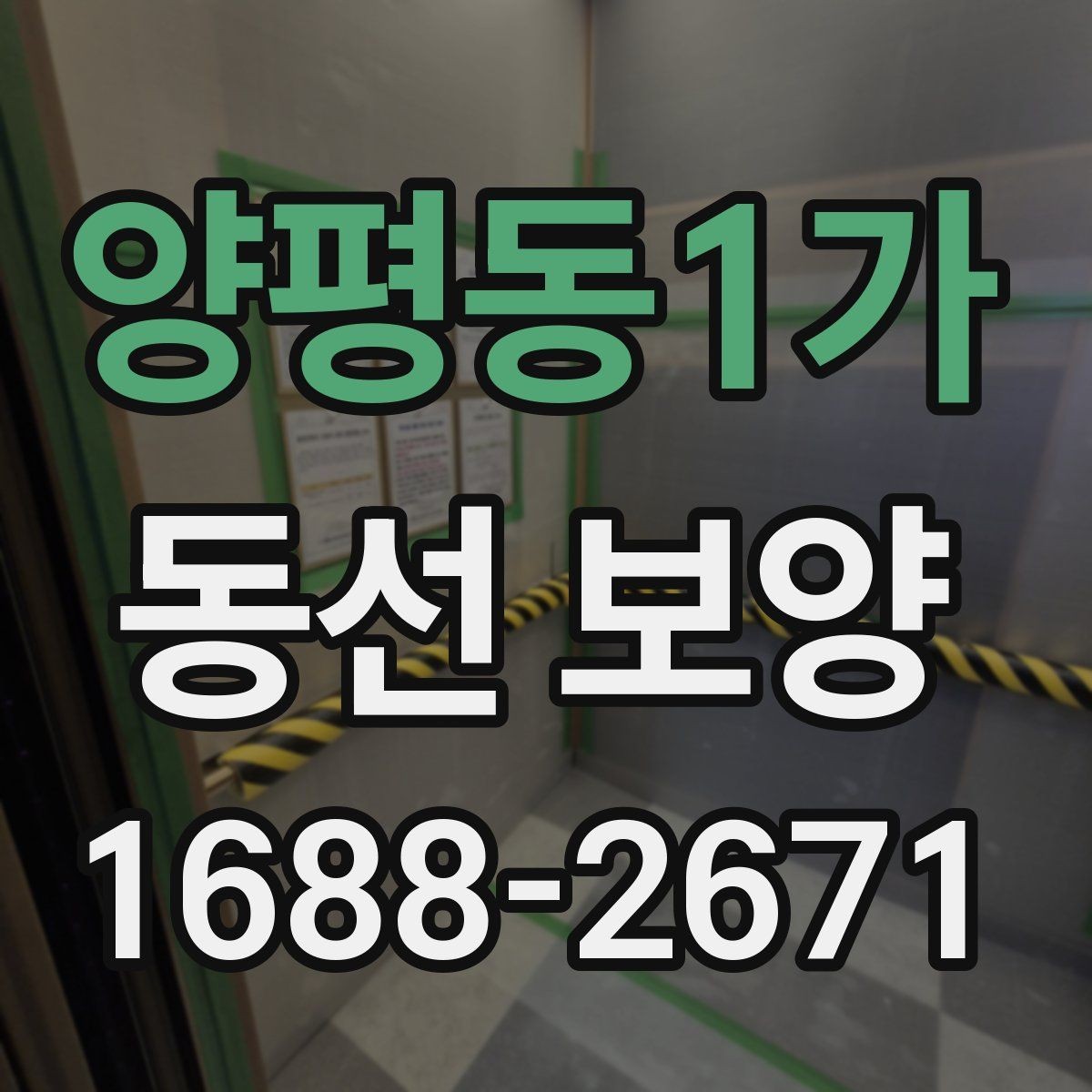 양평동1가 동선 보양 과정별 역할과 확인 포인트