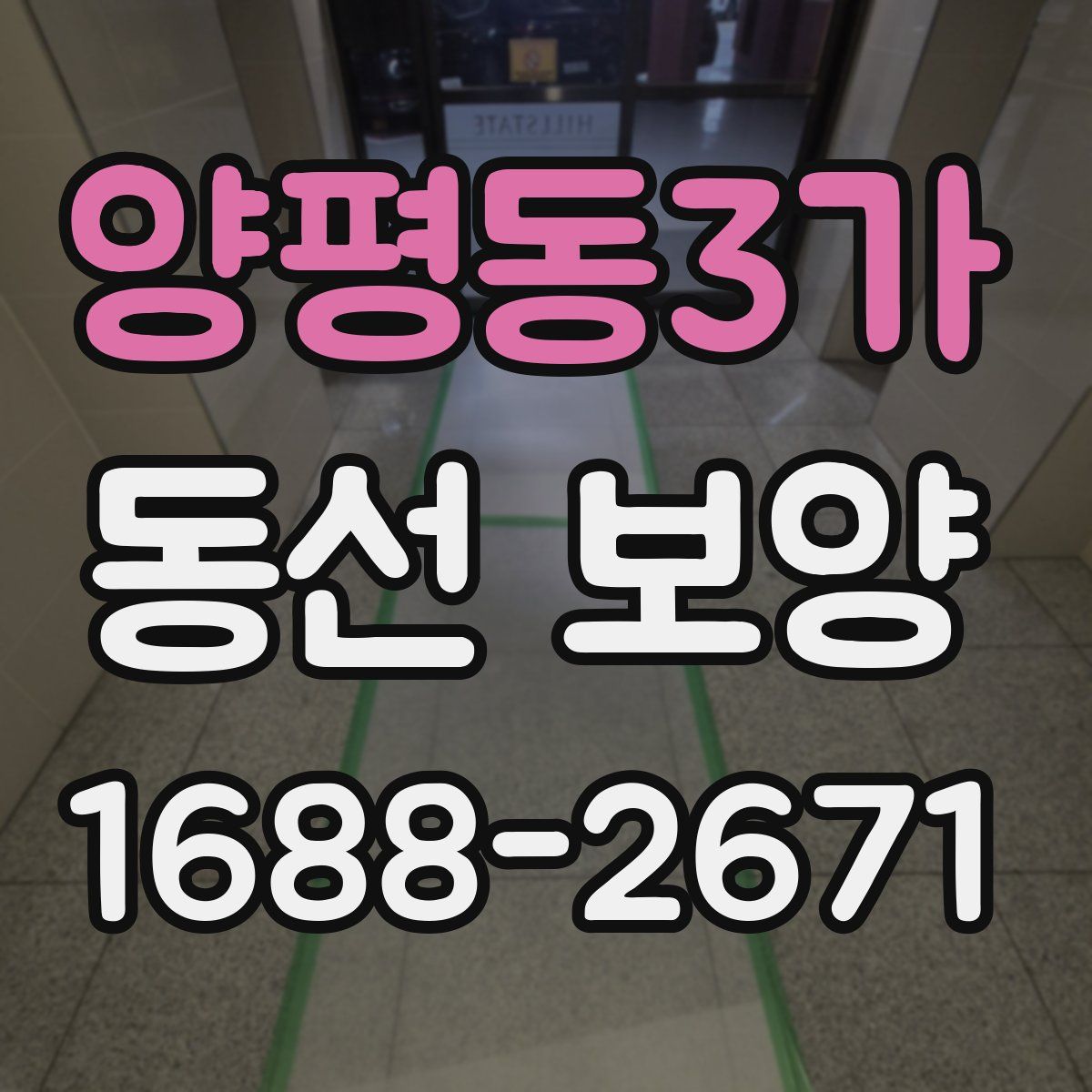 양평동3가 동선 보양