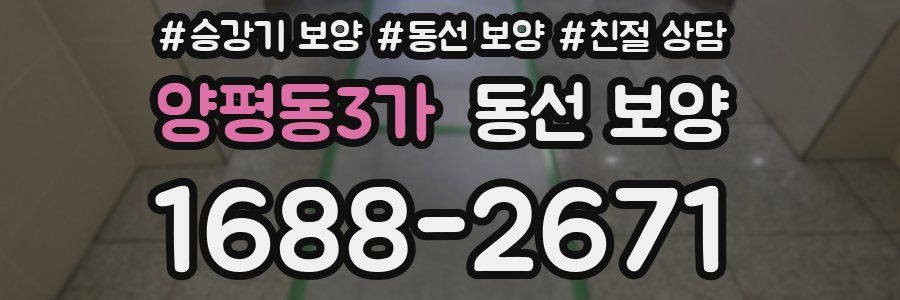 양평동3가 동선 보양
