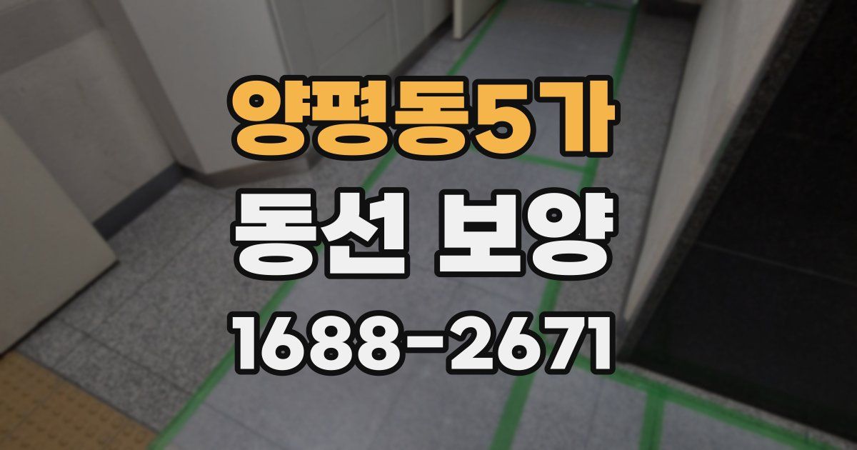 양평동5가 동선 보양