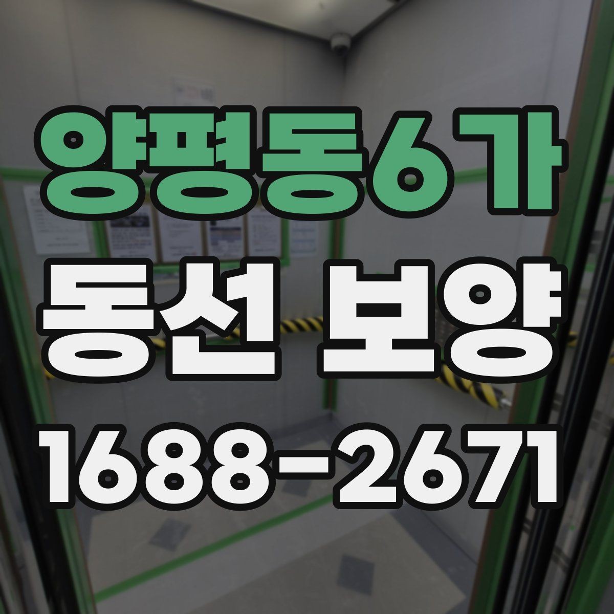 양평동6가 동선 보양 현장 적용 사례와 작업 노하우