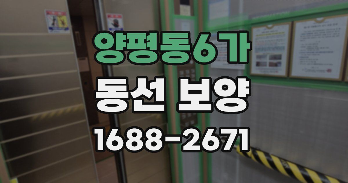 양평동6가 동선 보양