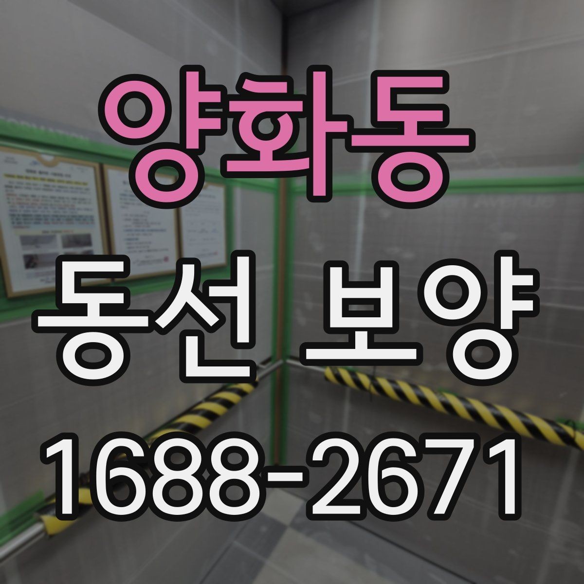 양화동 동선 보양 후 유지 관리를 고려한 선택