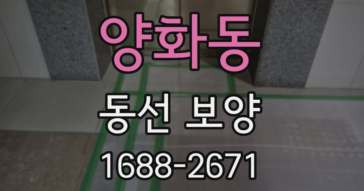 양화동 동선 보양