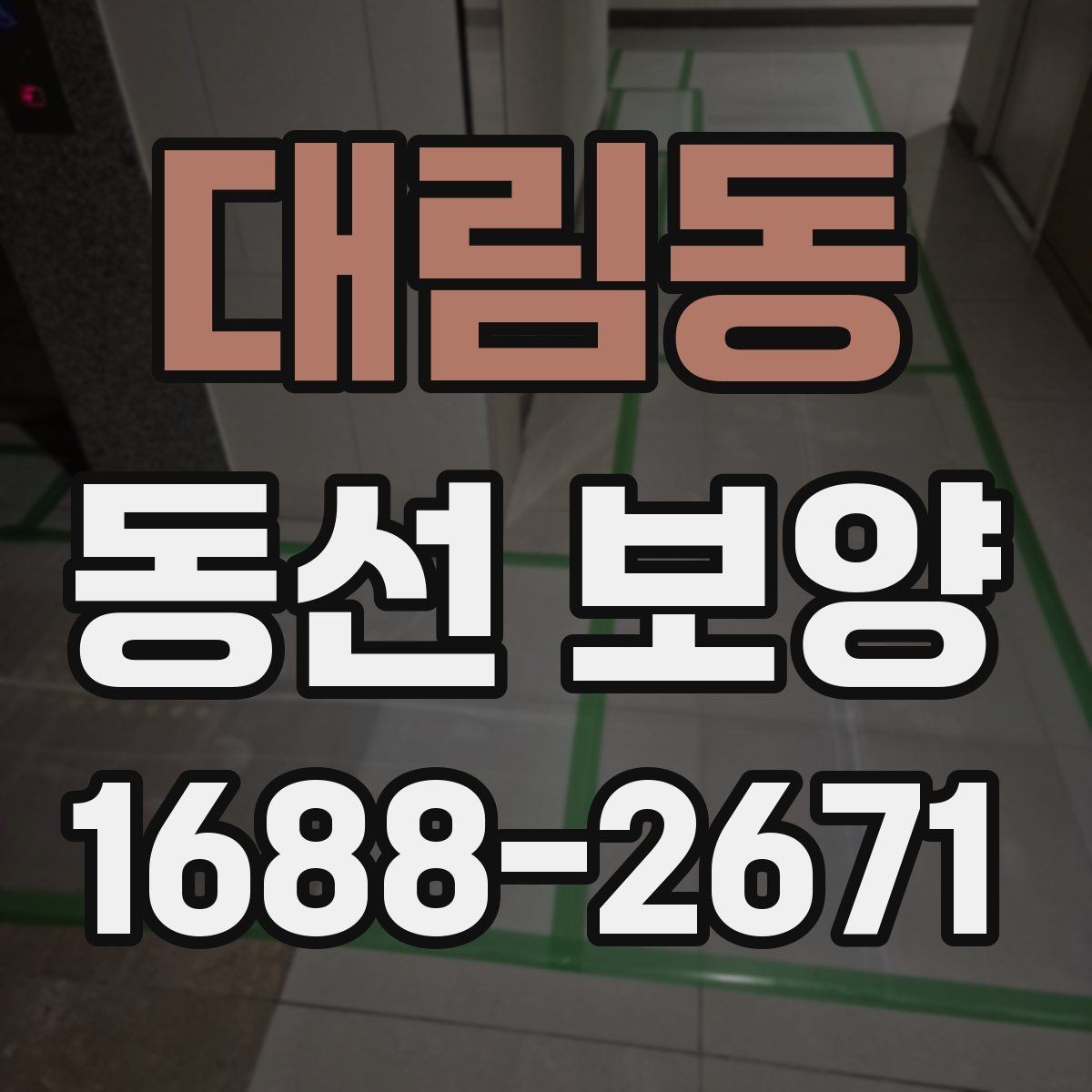 대림동 동선 보양 비용 견적을 볼 때 확인할 항목