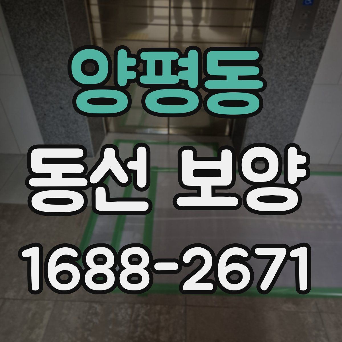양평동 동선 보양 작업의 효과를 높이는 현장 정비