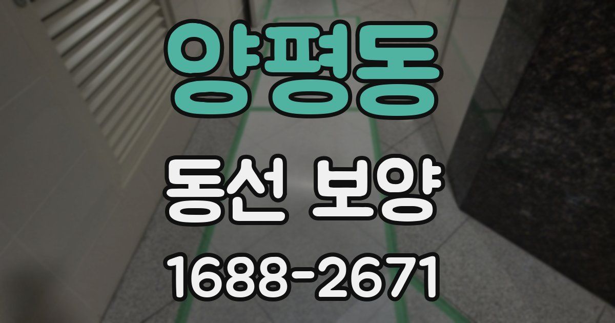 양평동 동선 보양