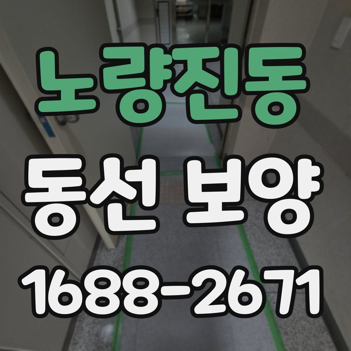 노량진동 동선 보양 자재별 활용처와 선택 팁