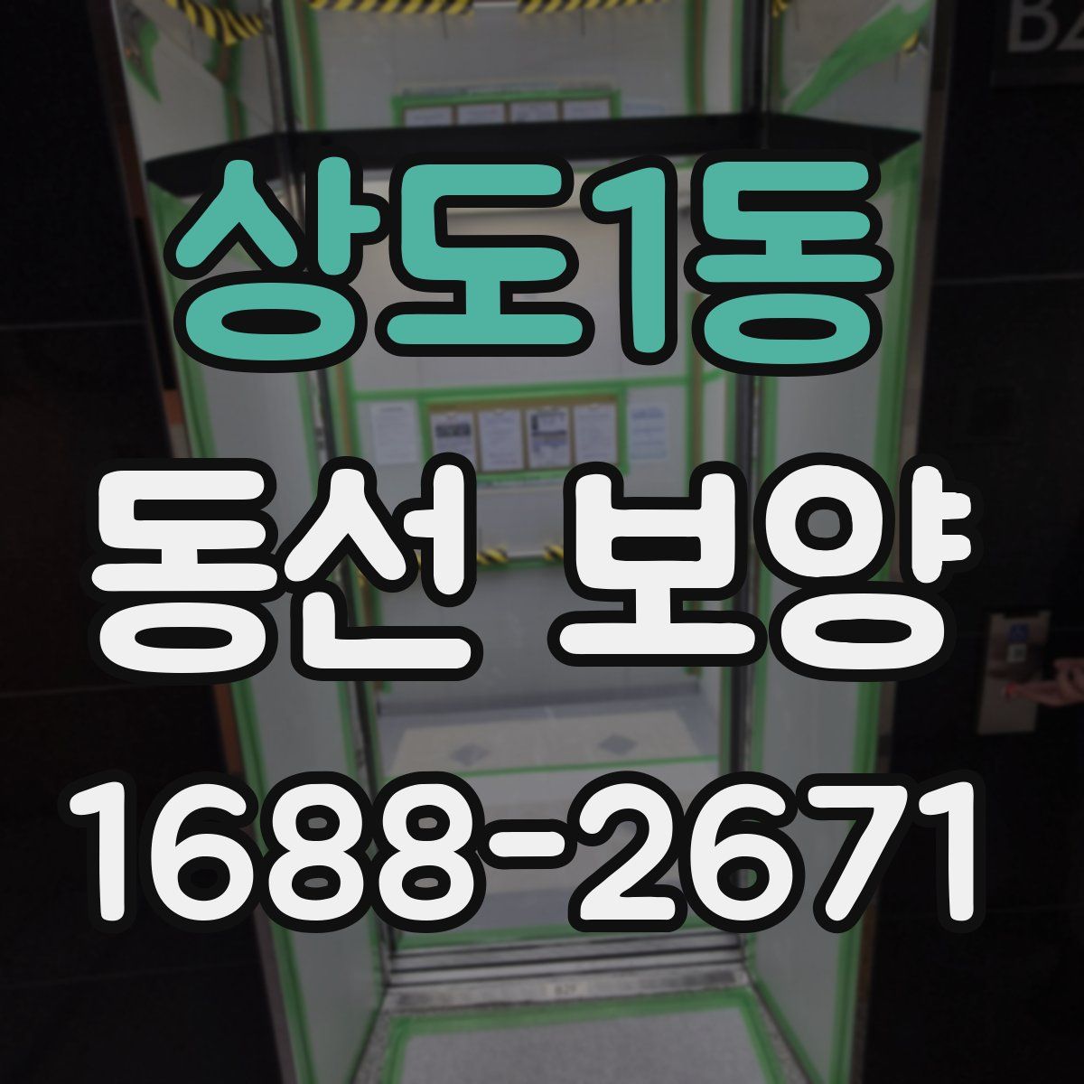 상도1동 동선 보양