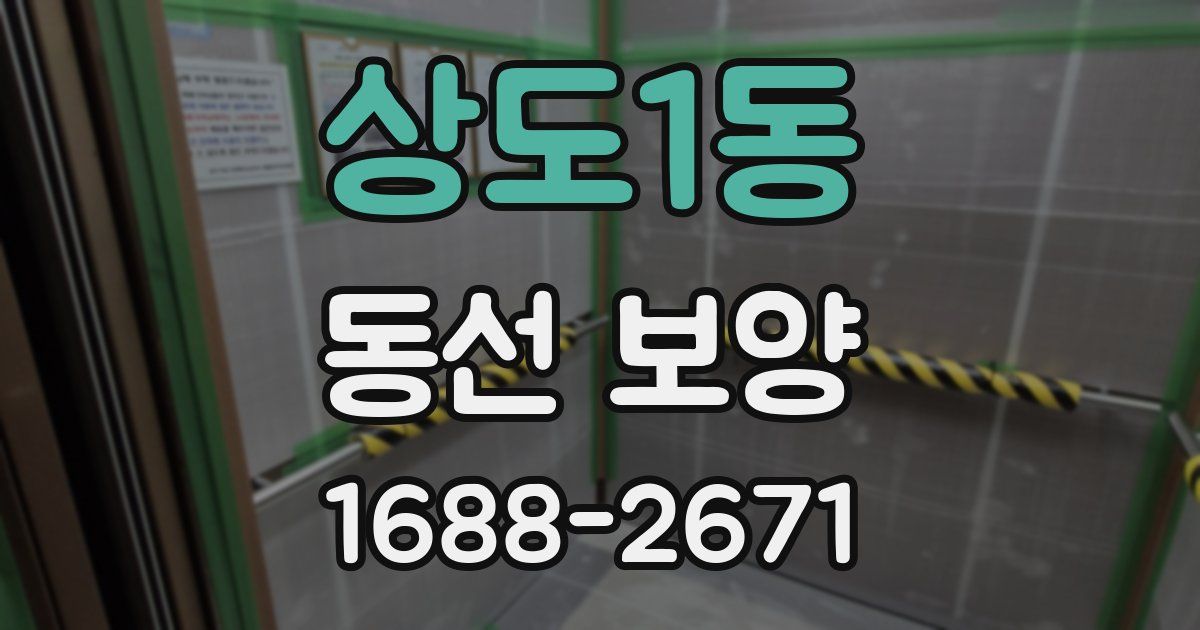 상도1동 동선 보양