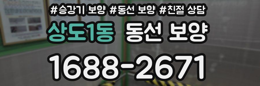 상도1동 동선 보양