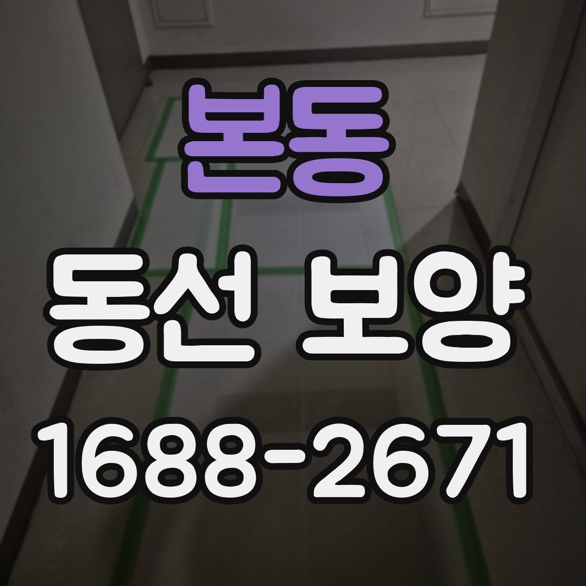 본동 동선 보양 자재 비용과 품질의 관계