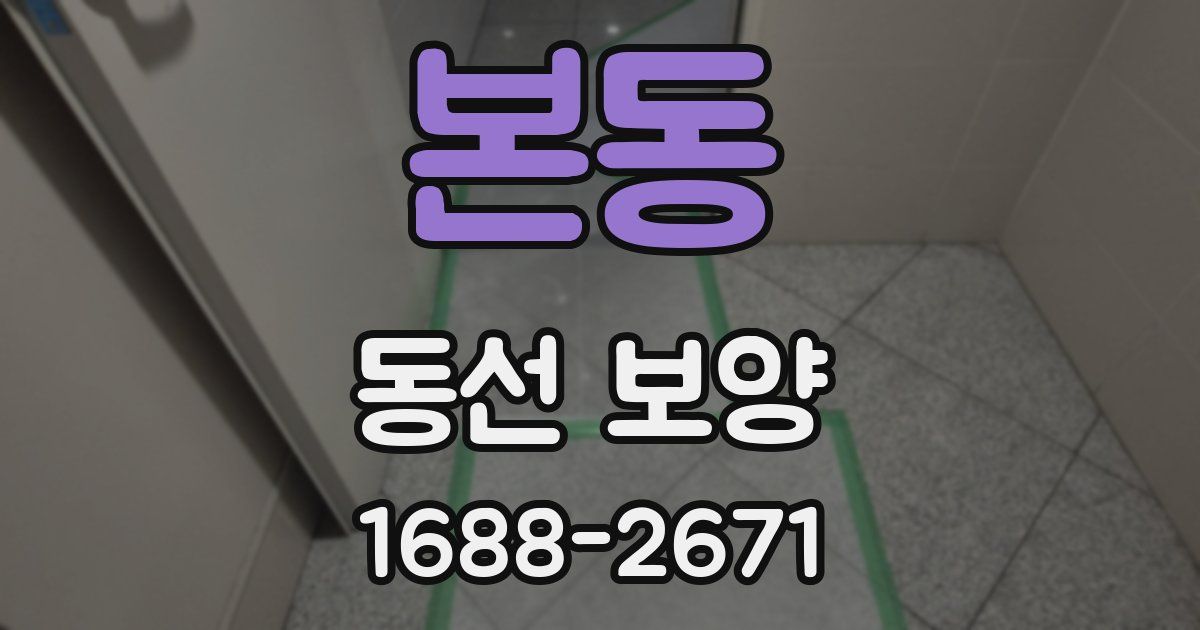 본동 동선 보양