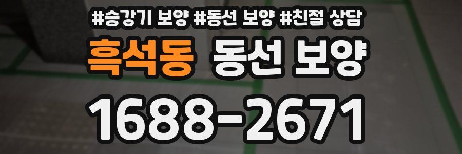 흑석동 동선 보양