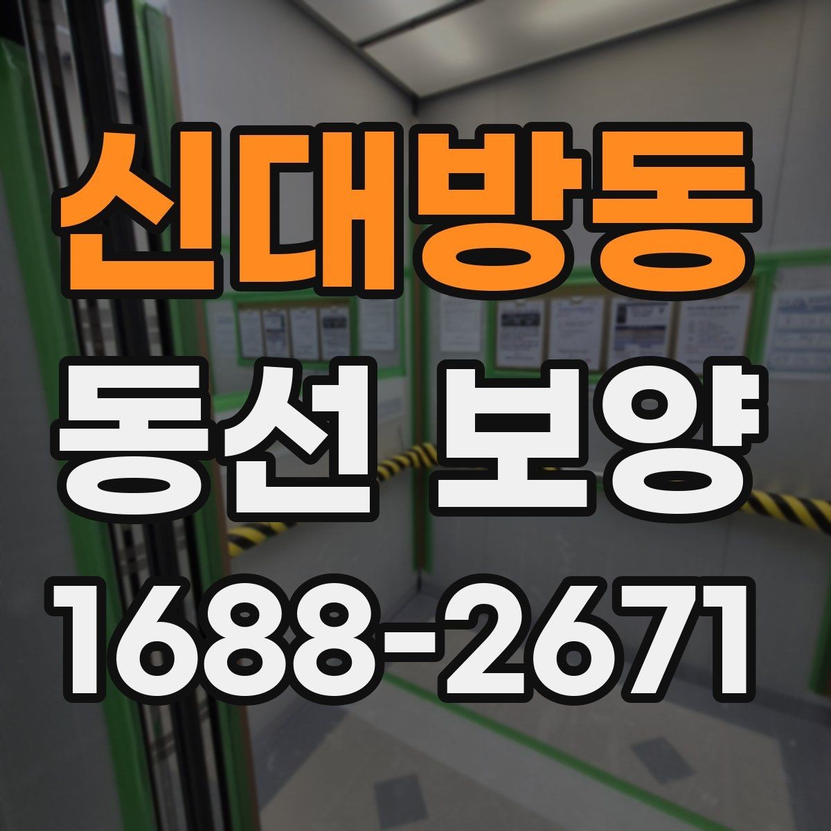신대방동 동선 보양 선택 전 비교해야 할 항목들