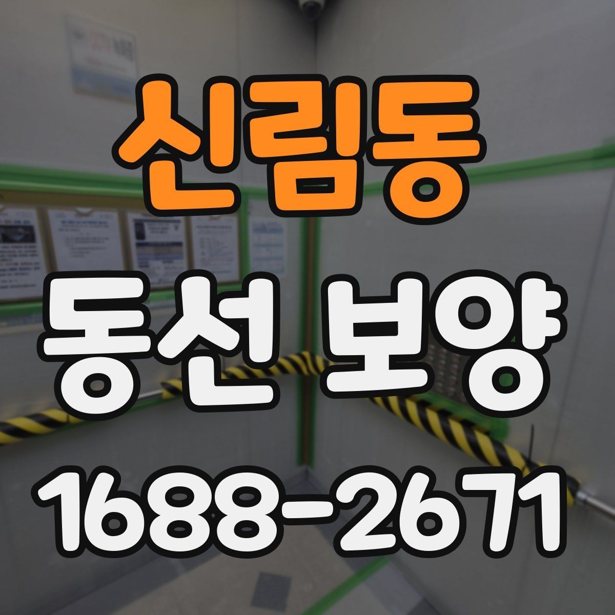 신림동 동선 보양 현장에서 주의할 점 정리