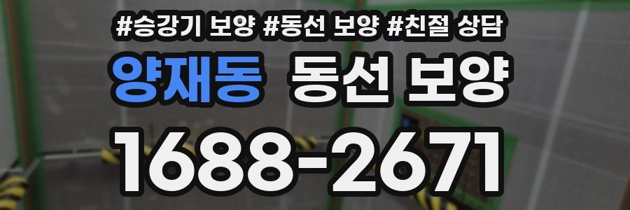 양재동 동선 보양