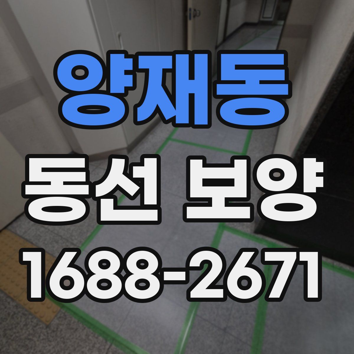 양재동 동선 보양