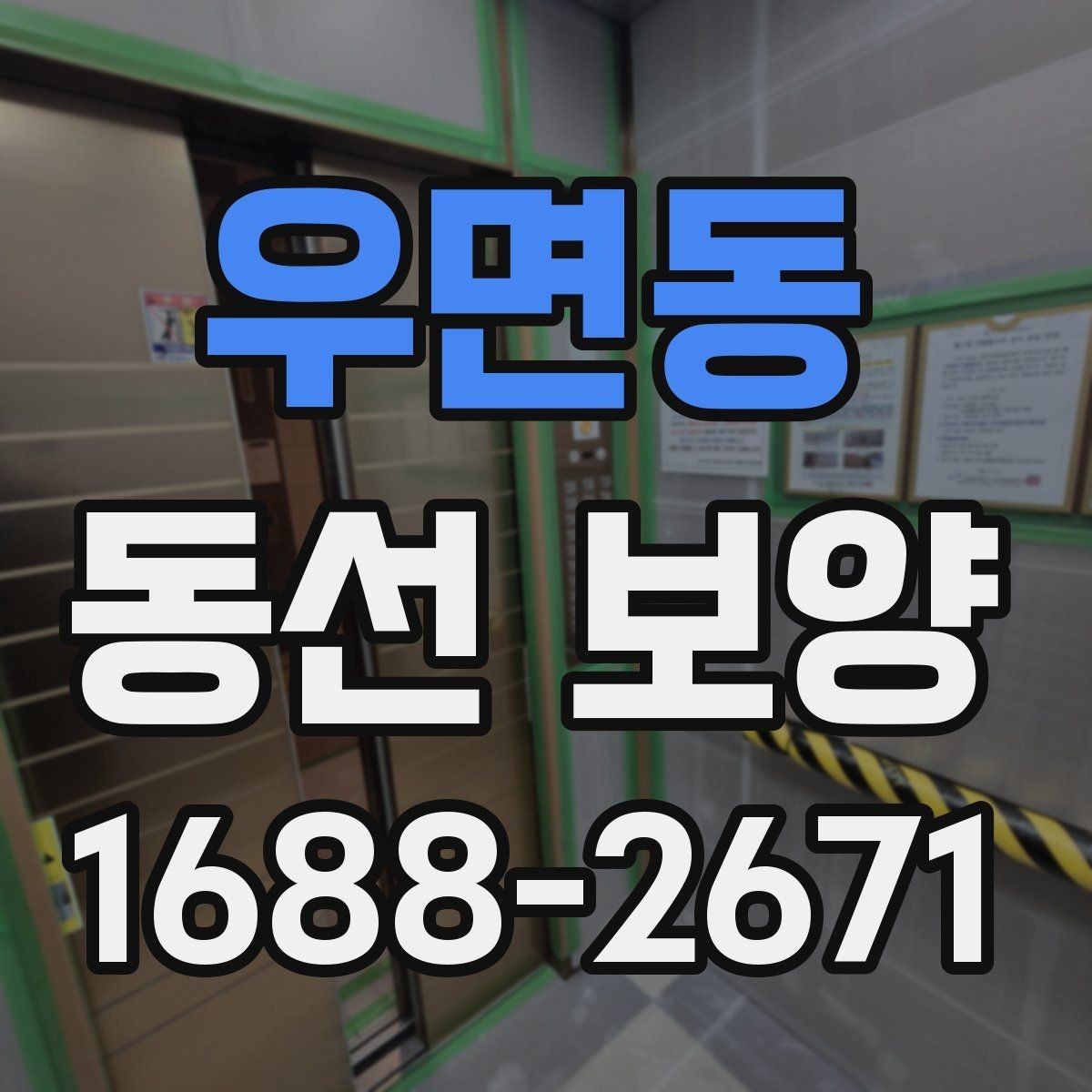 우면동 동선 보양 작업 전에 정리해야 할 공간