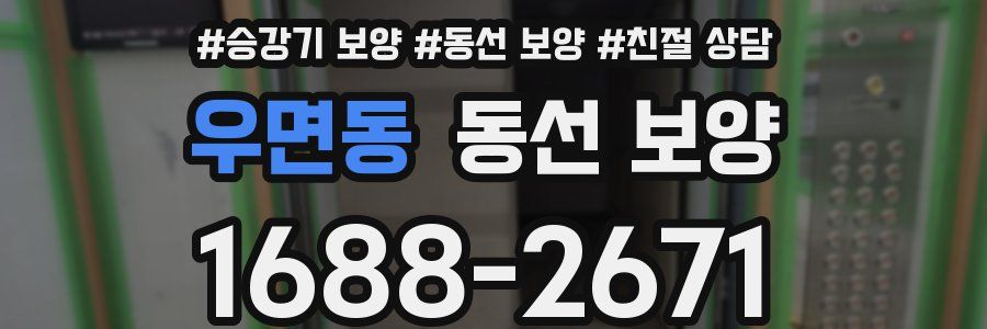 우면동 동선 보양