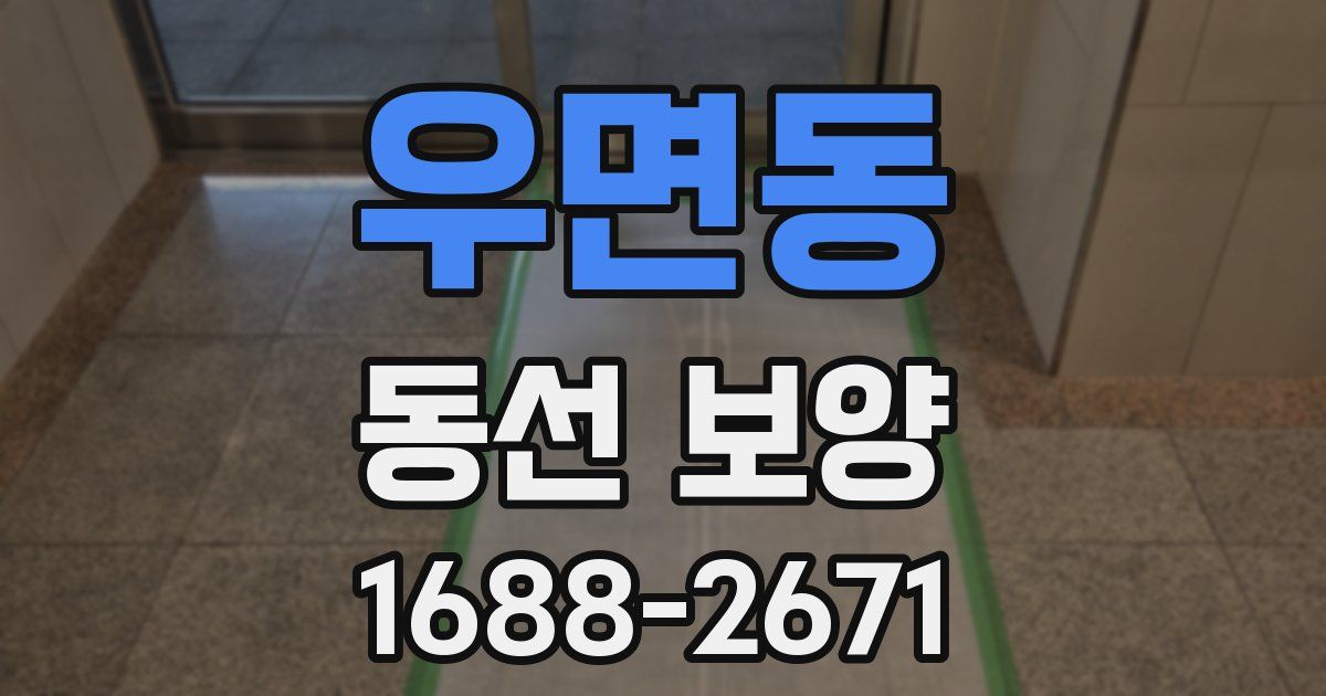 우면동 동선 보양