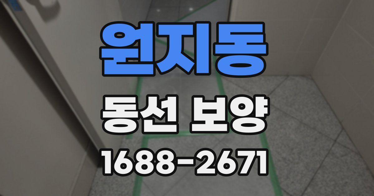 원지동 동선 보양