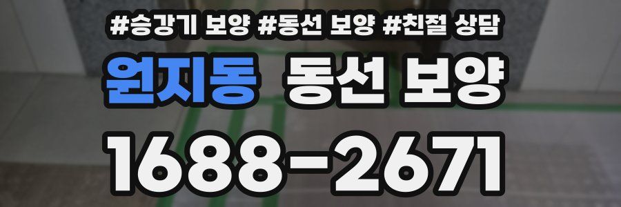 원지동 동선 보양