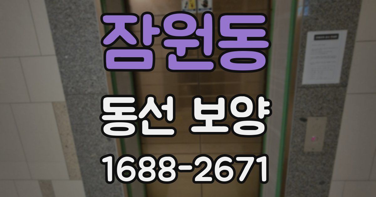 잠원동 동선 보양