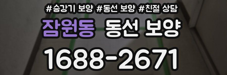 잠원동 동선 보양