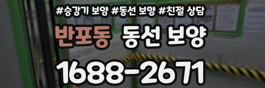 반포동 동선 보양