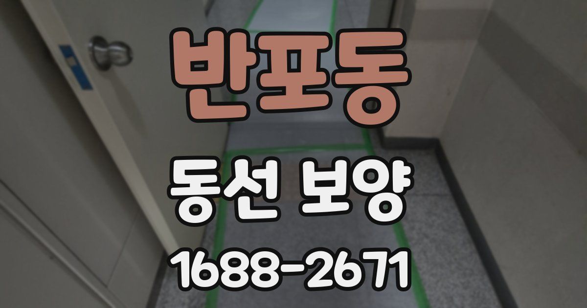 반포동 동선 보양