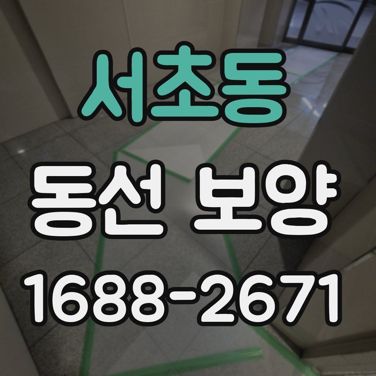 서초동 동선 보양 범위 설정과 작업 준비 방법