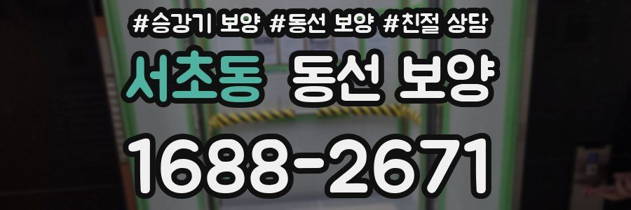 서초동 동선 보양