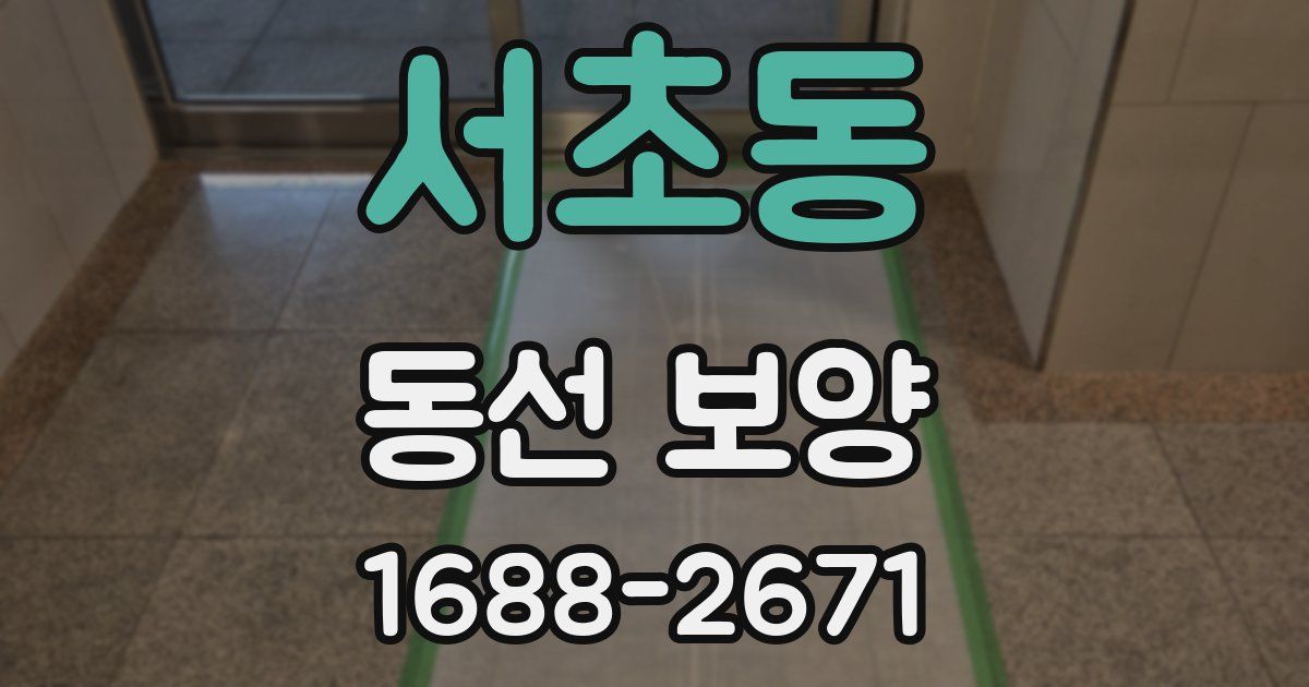 서초동 동선 보양