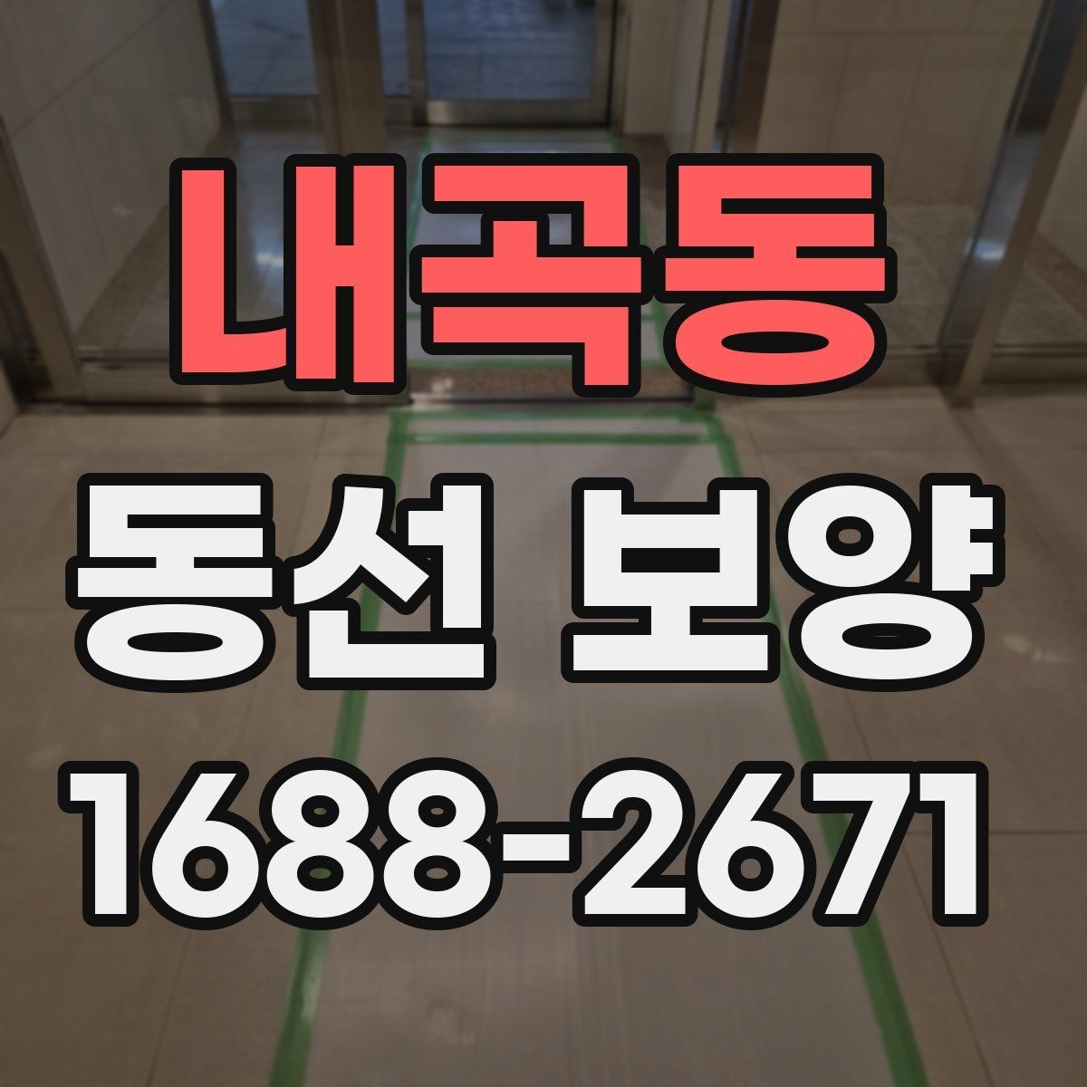 내곡동 동선 보양 후 정리까지 고려해야 하는 이유