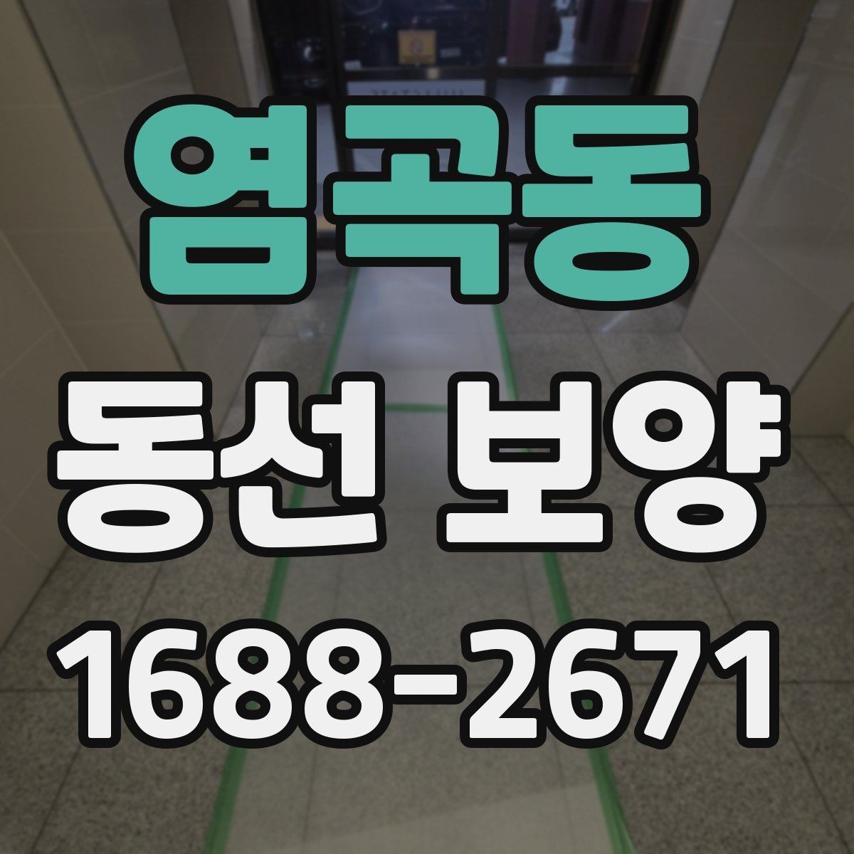 염곡동 동선 보양 작업 후 손상 예방을 위한 관리법