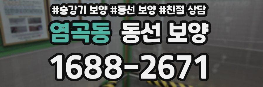 염곡동 동선 보양
