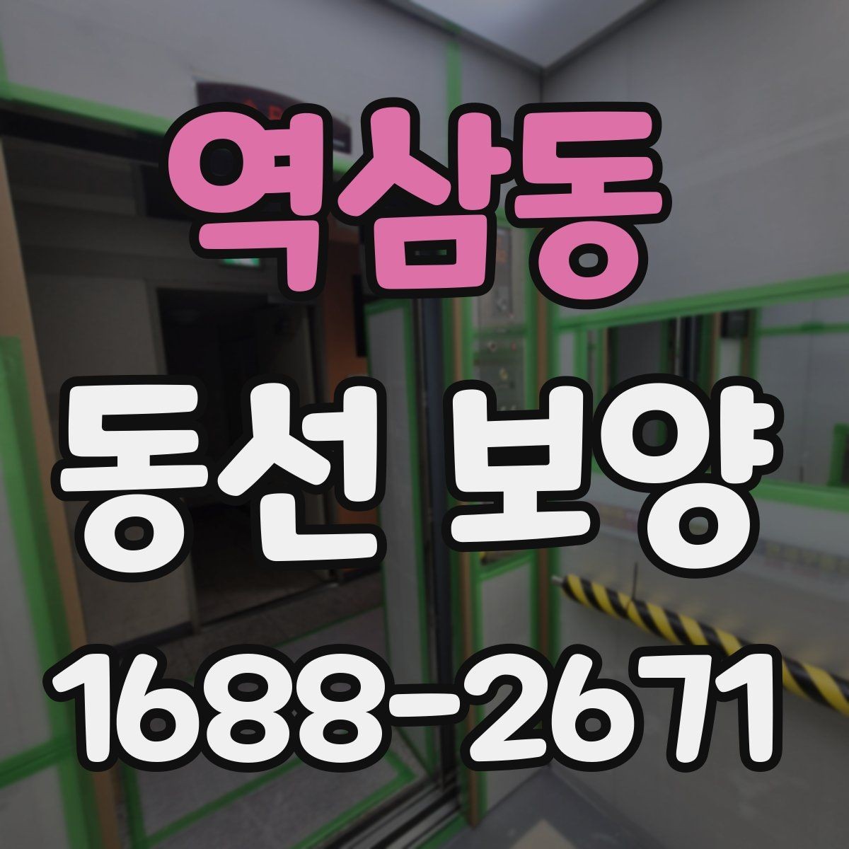역삼동 동선 보양 현장 사진으로 보는 업무 흐름
