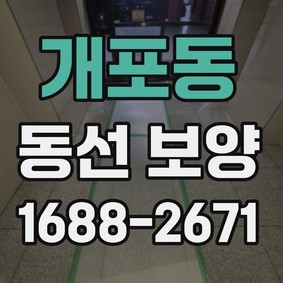 개포동 동선 보양