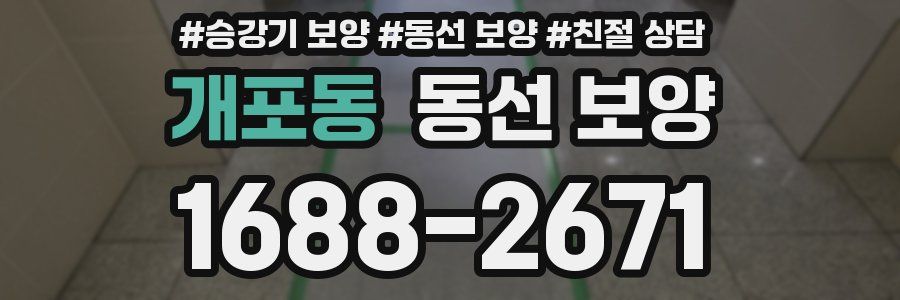 개포동 동선 보양