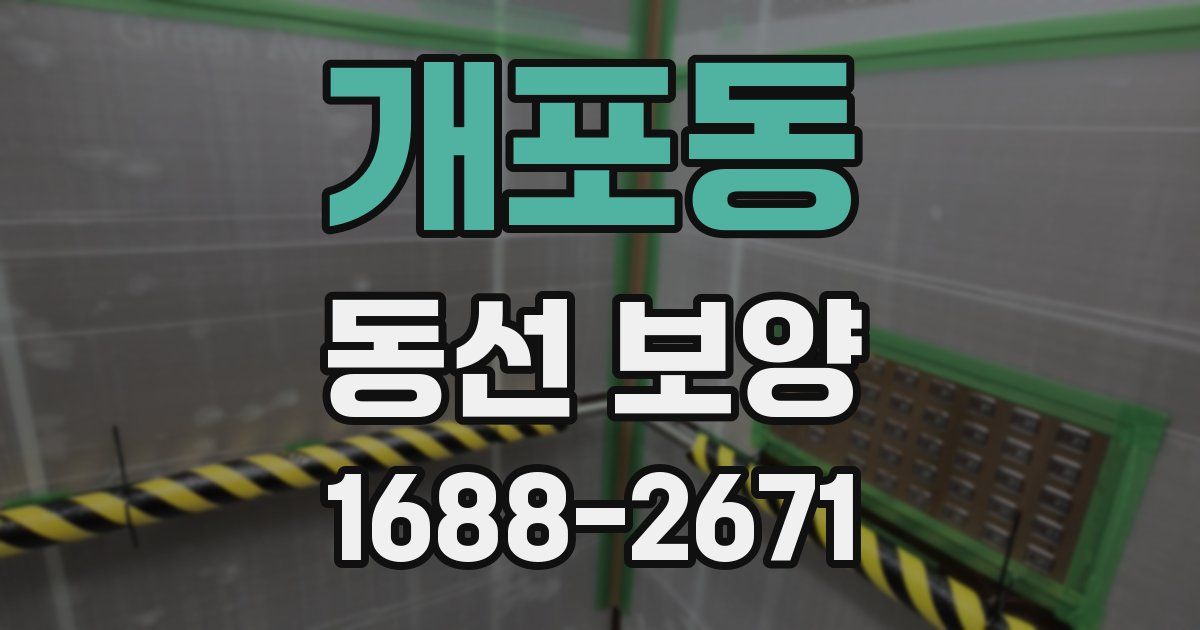 개포동 동선 보양