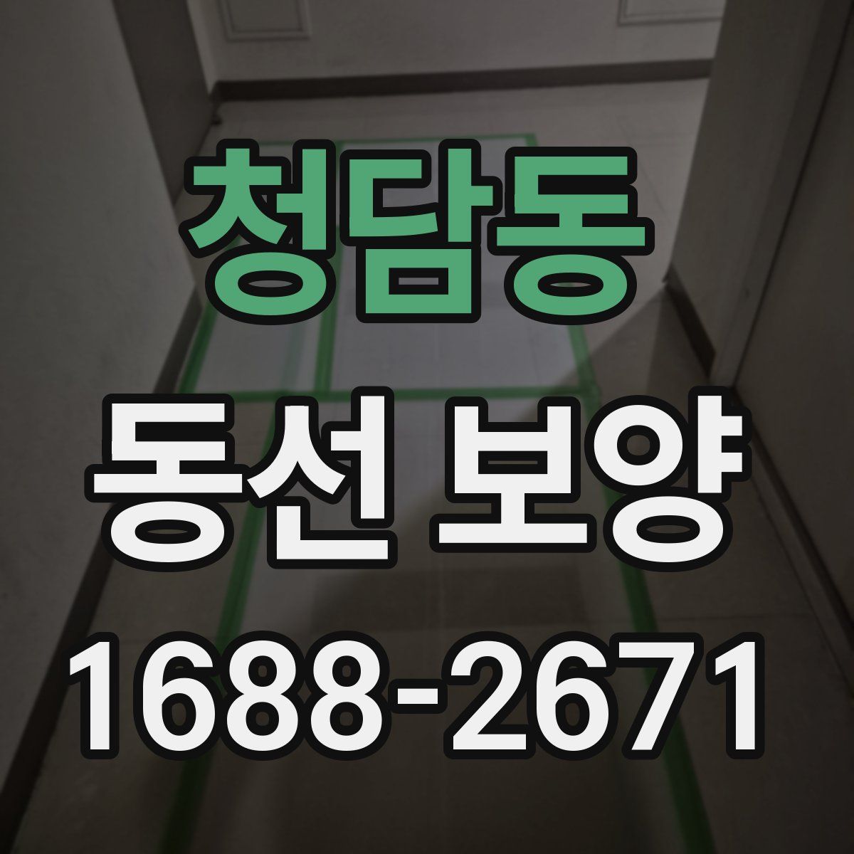 청담동 동선 보양