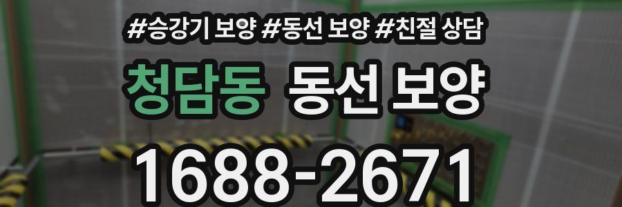 청담동 동선 보양