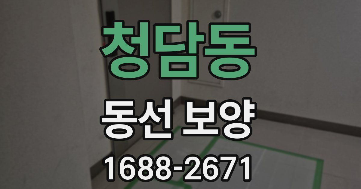 청담동 동선 보양