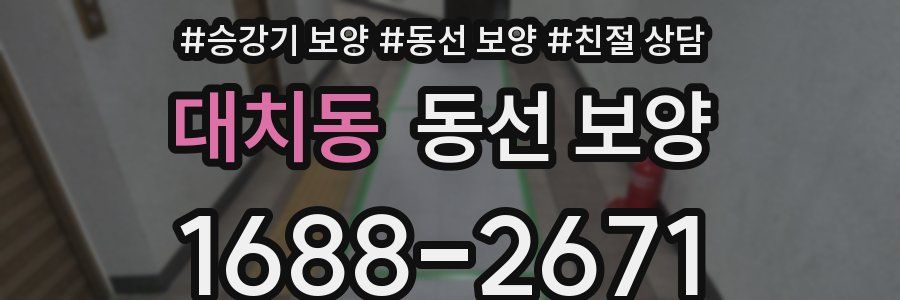 대치동 동선 보양