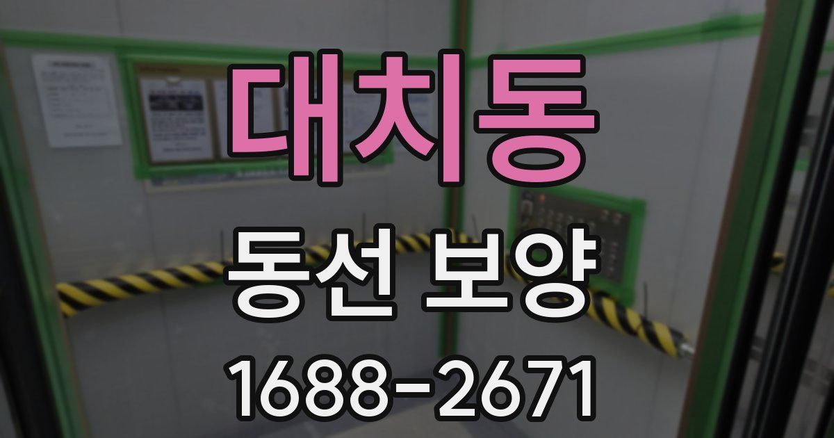 대치동 동선 보양